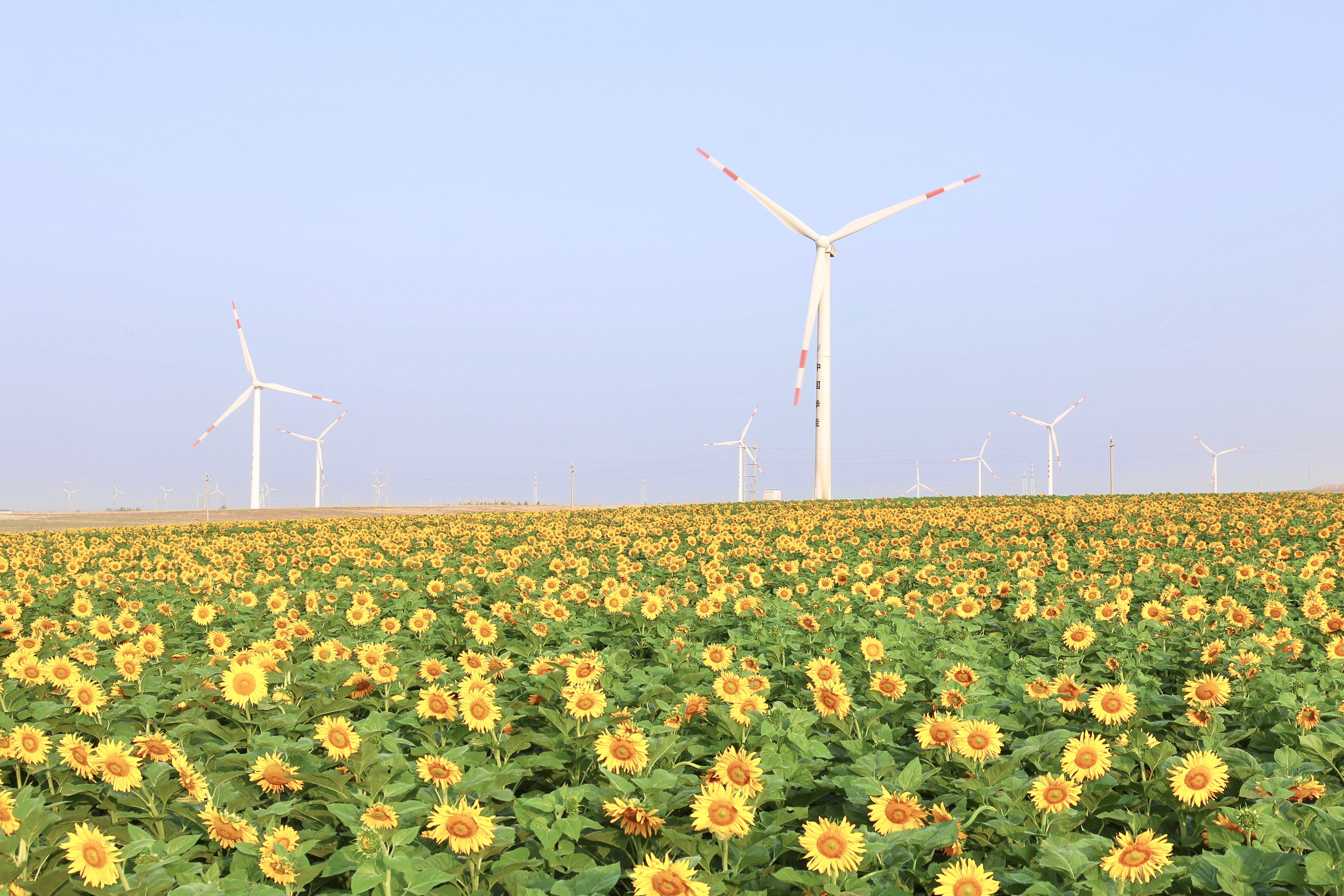 鸿运国际·(中国)官方网站