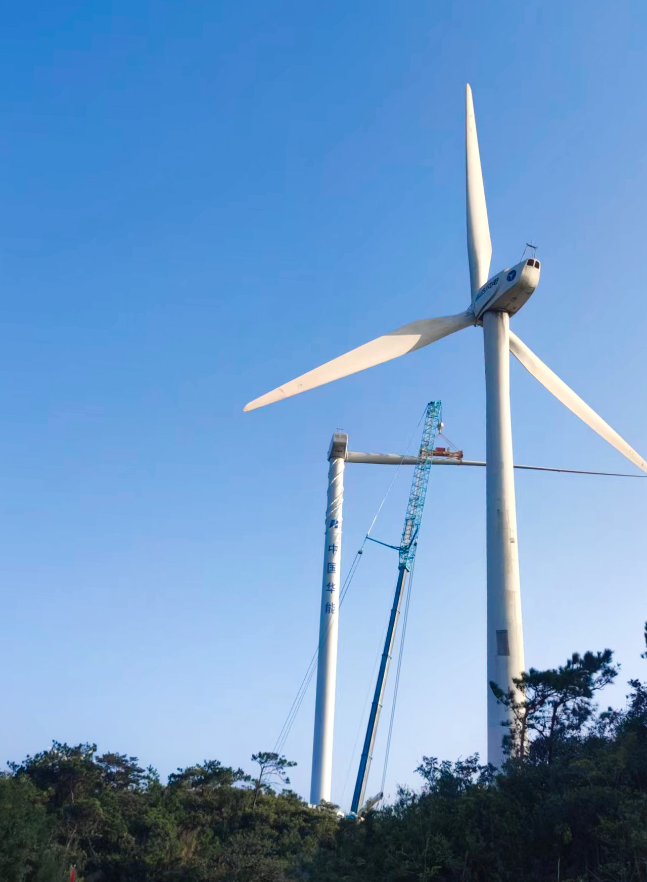 鸿运国际·(中国)官方网站