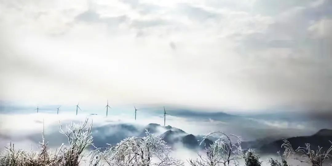 鸿运国际·(中国)官方网站